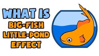 What is Big-Fish–Little-Pond Effect | Explained in 2 min