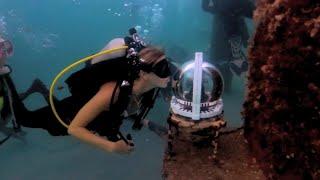 Zoey Rocks This Scuba Montage Around South Florida