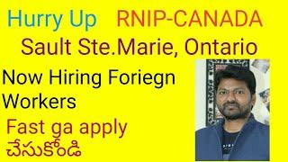 RNIP (RURAL & NORTHERN IMMIGRATION PILOT PROGRAM- SAULT STE. MARIE Community