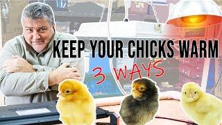 3 WAYS to KEEP your CHICKS WARM • Heat Sources for Brooding Chicks