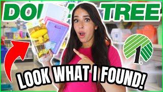 15 *NEW* Dollar Tree Items You DON'T want to miss this July 2024