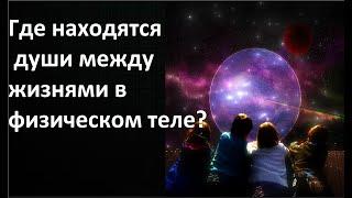 Где находятся души между жизнями в физическом теле?