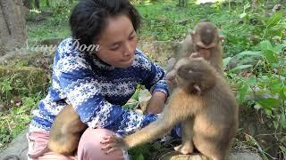 Looks so jealous of Kunthea, Lisa Koca and Romel are going to groom mom altogether sweetly