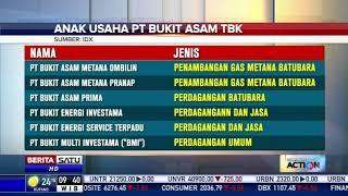 Inilah Sejumlah Anak Usaha PT Bukit Asam