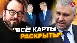 ФЕЙГИН & БЕЛКОВСКИЙ: Раскрыта тайна ОРБАНА и ТРАМПА! Венгрия может УДИВИТЬ. Китай СОРВЁТ КУШ?