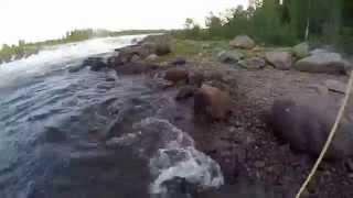 salmon fishing in torne river part 2