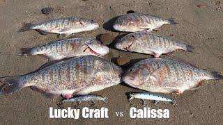 Lucky Craft vs Calissa 110 - Which Lure is Better?