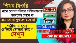 Primary TET 2023 | বিভিন্ন মনোবিজ্ঞানীদের তত্ত্ব | Complete Theory of CDP | SET #2