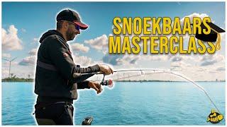 ZO VIND JIJ TOPSTEKKEN VOOR SNOEKBAARS OP GROOT WATER! - Tips van de expert