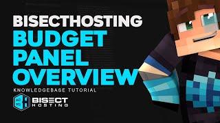 BisectHosting Budget Panel Overview!