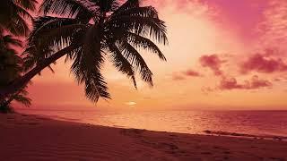  Peaceful Sundown over Palm Tree Beach | Sunset Scene with Ocean Sounds for Sleeping 2 Hours