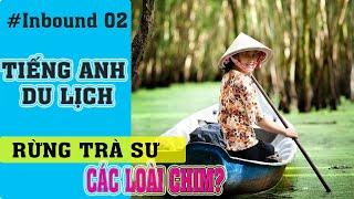 Hướng Dẫn Viên Du Lịch | Thuyết Minh Rừng Trà Sư Bằng Tiếng Anh | VGuides Channel