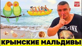 ЭТО ШОК!!! / Мальдивы просто отдыхают / КРЫМ 2021 Обзор пляжа в Поповке 03.08.21