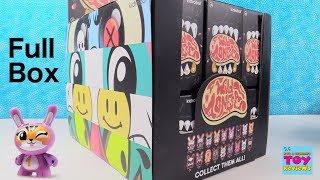 Wild Ones Dunny Kidrobot Vinyl Figure Full Case Unboxing Review | PSToyReviews