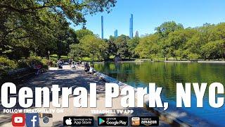 Central Park Virtual Run with Adam NYC