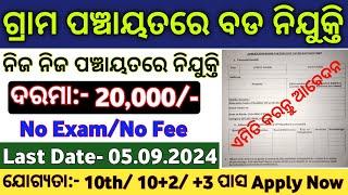 Odisha Panchayat Level CEO Recruitment 2024 ! Odisha Govt Jobs 2024 ! Govt Jobs in Odisha