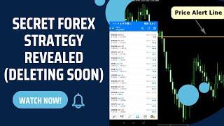 SECRET FOREX TRADING STRATEGY REVEAL. (DELETING SOON)