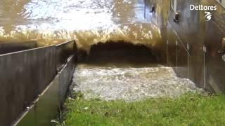 Tests of grass dikes in wave flume