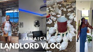 living in Jamaica | landlord vlog, first time visiting investment property and farm inspection