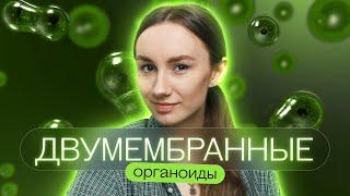 Двумембранные органоиды | Катя Грицай | Биология ЕГЭ