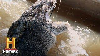 Swamp People: Troy's Close Call with a Gator Bite (Season 8) | History