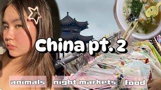 vibey China vlog  | culture  | good food | night markets | chats