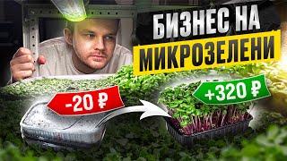 Открыл БИЗНЕС — за 5.000 ₽. Сколько приносит МИКРОЗЕЛЕНЬ. Бизнес в гараже