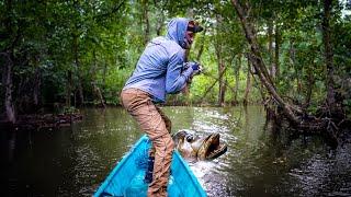 The Strongest FRESHWATER Fish In The WORLD - Indonesia Ep. 9