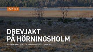 Drevjakt på Hörningsholm