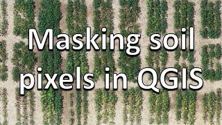 Masking/filtering soil pixels from drone imagery in QGIS (Drones in agriculture series, 4/7)