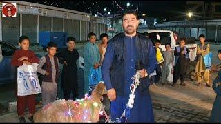 ویژه برنامه شب عید در فروشگاه کابل جان