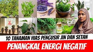 Mistis!!! Inilah 10 Tanaman Hias Populer Pengusir Jin dan Setan Penangkal Energi Negatif di Rumah!