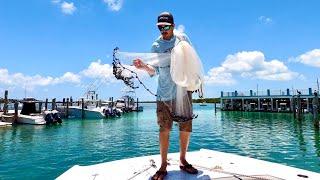 HOW TO throw a CAST NET! Netting lots of bait fish!