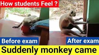 Students feelings during exam days#exam #makaut_exam #examination #shorts