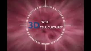 Why 3D Cell Culture?