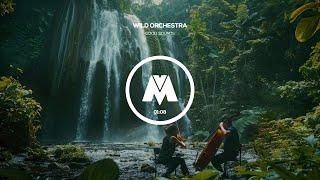 Wild Orchestra 🟢 | Royalty Free / No Copyright Orchestral Music