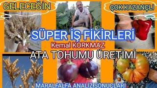 SÜPER İŞ FİKİRLERİ ATA TOHUMU YETİŞTİRİCİLİĞİ KEMAL KORKMAZ. MARALFALFA ANALİZ SONUÇLARI.