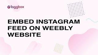 How To Embed Instagram Feed On Weebly Website | Taggbox