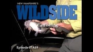 NH's WildSide - Catfishing E0719A