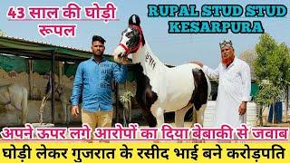 देख लो किस तरीके से घोड़ी खरीद कर एक मजदूर बना करोड़ो का मालिक - Rupal Stud Farm