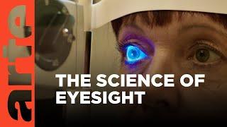 The Human Eye: The Latest Research | ARTE.tv Documentary