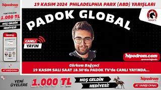 19 Kasım 2024 // Philadelphia Parx (ABD) At Yarışı Tahminleri // Görkem Bağçeci