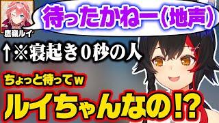 寝起き過ぎて声ガラガラ、滑舌ぐちゃぐちゃになってしまうルイ姉のギャップが凄いw【ホロライブ 6期生 切り抜き/鷹嶺ルイ/大神ミオ/holoX】