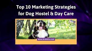 Marketing Strategies For Dog Hostel & Day Care