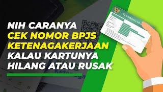 Lakukan Ini bila Ingin Cek Nomor BPJS Ketenagakerjaan tapi Kartunya Hilang atau Rusak