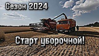 Первый день уборки пшеницы 2024 Работаю на Палессе GS12