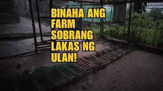 BINAHA ANG FARM SOBRANG LAKAS NG ULAN!