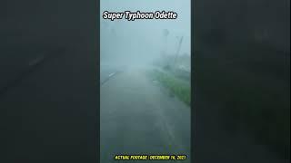 SUPER TYPHOON ODETTE HITS THE PHILIPPINES | ACTUAL FOOTAGE 12.16.2021 #shortvideo #typhoonodetteph