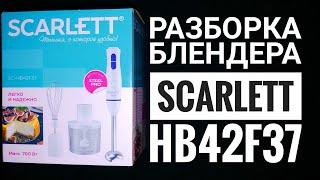 Разборка и отзыв о блендере Scarlett SC-HB42F37