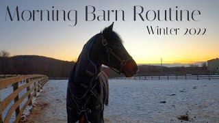 2022 Winter Morning BARN ROUTINE & Feeding Horses + Barn Chores | EVENTING EQUESTRIAN VLOG